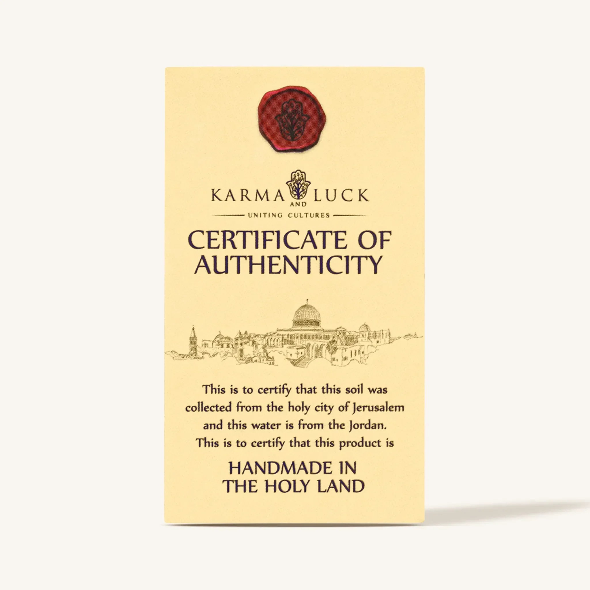 Omnipresent Protection Hamsa Blessing - Image 4
